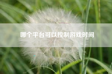 哪个平台可以控制游戏时间