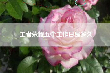 王者荣耀五个工作日是多久