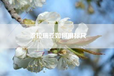 泰拉瑞亚如何用标尺