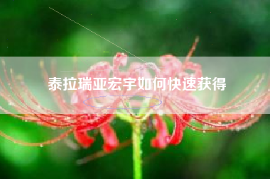 泰拉瑞亚宏宇如何快速获得