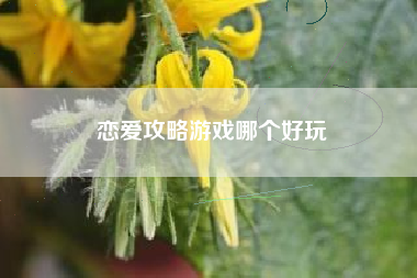 恋爱攻略游戏哪个好玩