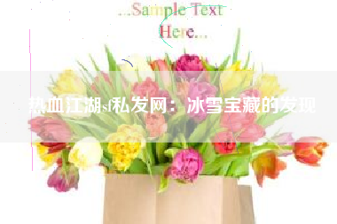 热血江湖sf私发网：冰雪宝藏的发现