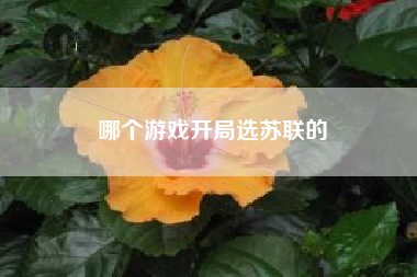 哪个游戏开局选苏联的