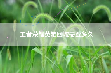 王者荣耀英雄回城需要多久