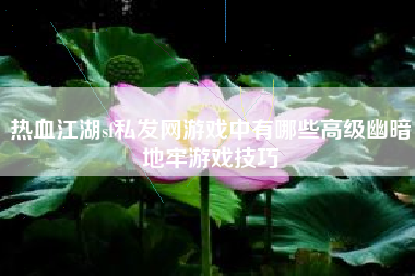 热血江湖sf私发网游戏中有哪些高级幽暗地牢游戏技巧