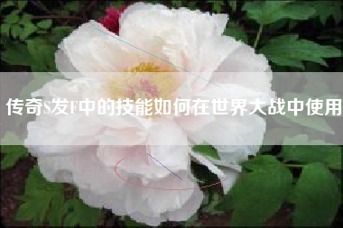 传奇S发F中的技能如何在世界大战中使用