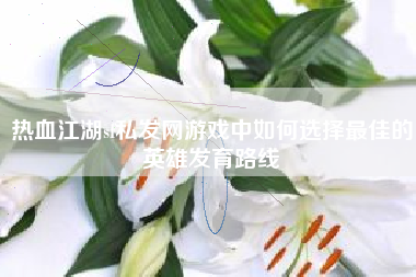 热血江湖sf私发网游戏中如何选择最佳的英雄发育路线