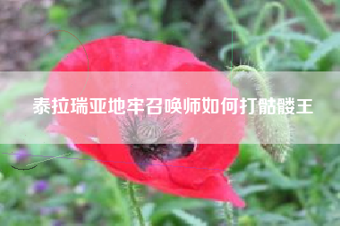 泰拉瑞亚地牢召唤师如何打骷髅王