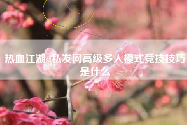 热血江湖sf私发网高级多人模式竞技技巧是什么