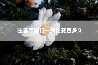 王者荣耀打一局比赛要多久
