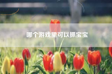 哪个游戏里可以抓宝宝