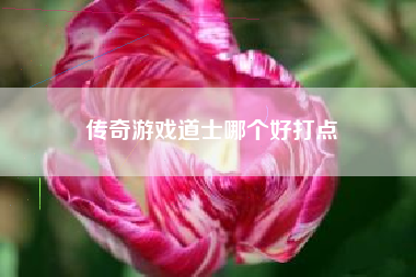 传奇游戏道士哪个好打点