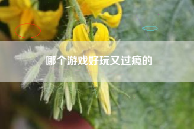 哪个游戏好玩又过瘾的