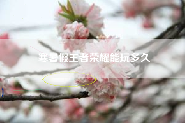 寒暑假王者荣耀能玩多久