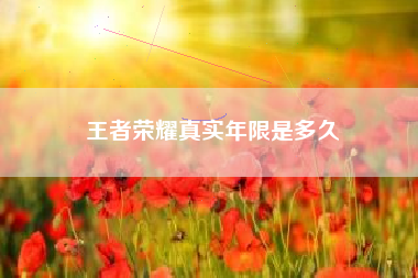 王者荣耀真实年限是多久