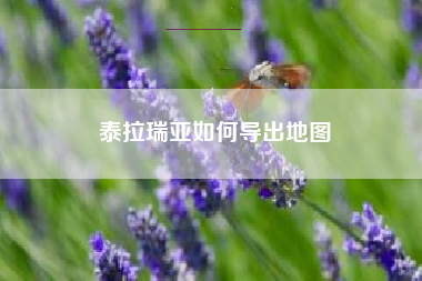 泰拉瑞亚如何导出地图