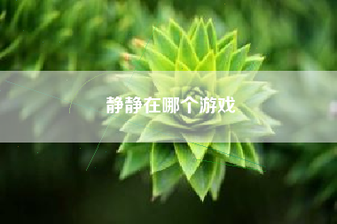 静静在哪个游戏