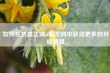 如何在热血江湖sf私发网中获得更多的升级道具
