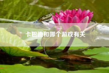 卡巴迪和哪个游戏有关
