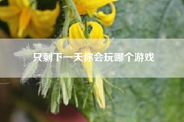 只剩下一天你会玩哪个游戏
