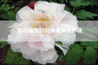 泰拉瑞亚如何快速刷暗影魂