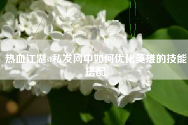 热血江湖sf私发网中如何优化英雄的技能搭配