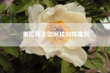 泰拉瑞亚如何找到降魔剑