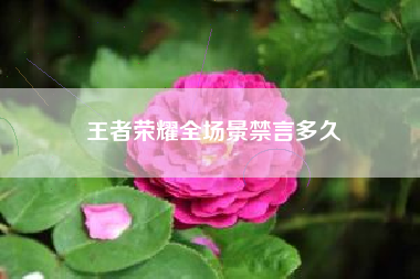 王者荣耀全场景禁言多久