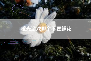 橙光游戏哪个不要鲜花