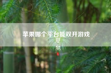 苹果哪个平台能双开游戏