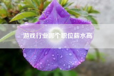 游戏行业哪个职位薪水高