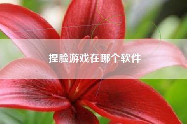 捏脸游戏在哪个软件
