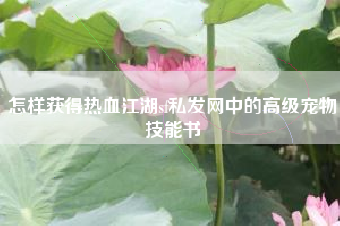 怎样获得热血江湖sf私发网中的高级宠物技能书