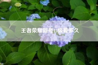 王者荣耀新号15级要多久