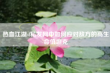 热血江湖sf私发网中如何应对敌方的高生命值坦克