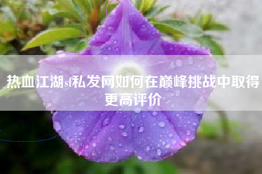 热血江湖sf私发网如何在巅峰挑战中取得更高评价