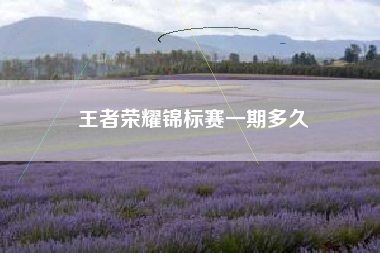 王者荣耀锦标赛一期多久