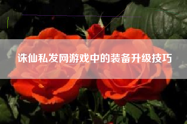 诛仙私发网游戏中的装备升级技巧
