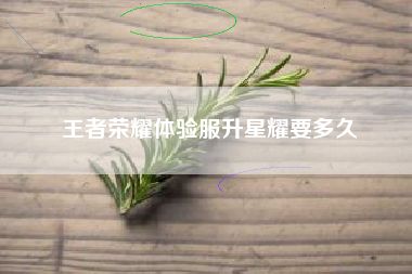 王者荣耀体验服升星耀要多久