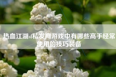 热血江湖sf私发网游戏中有哪些高手经常使用的技巧装备