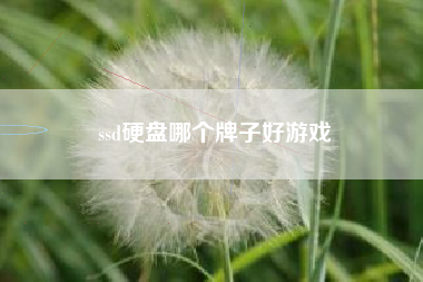 ssd硬盘哪个牌子好游戏