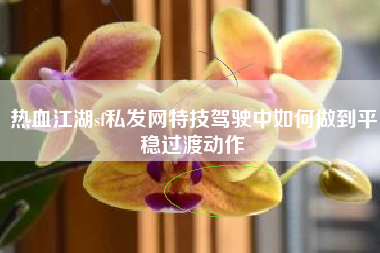 热血江湖sf私发网特技驾驶中如何做到平稳过渡动作