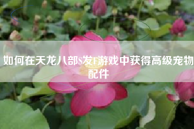 如何在天龙八部S发F游戏中获得高级宠物配件