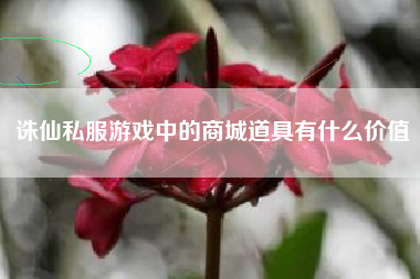 诛仙私服游戏中的商城道具有什么价值