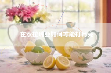 在泰拉瑞亚如何才能打月亮