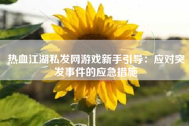 热血江湖私发网游戏新手引导：应对突发事件的应急措施