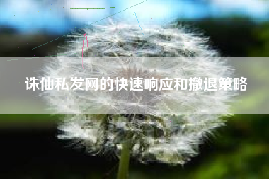 诛仙私发网的快速响应和撤退策略