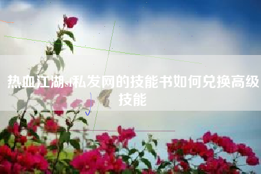 热血江湖sf私发网的技能书如何兑换高级技能