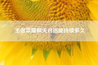 王者荣耀聊天对话能持续多久