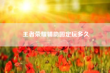 王者荣耀辅助固定玩多久